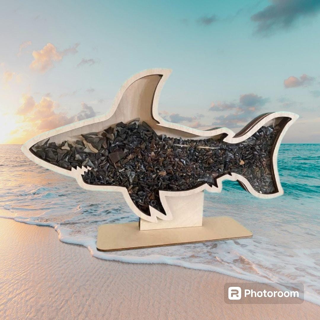 Shark Teeth Shadow Box: Shark Tooth Display - Etsy