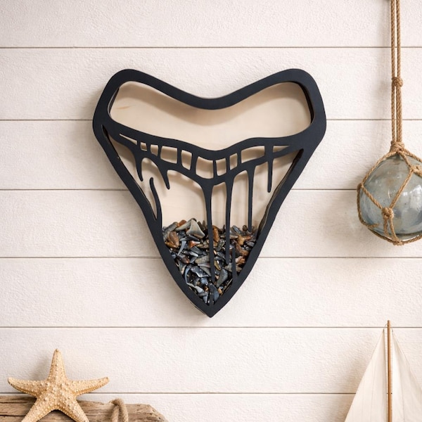 Megalodon Shark Teeth Shadow Box: Beach Treasure Display, Wall Hanger 1