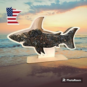 May include: A shark-shaped wooden display case with a clear front panel filled with numerous dark, small, triangular shark teeth. The display stands on a rectangular wooden base and features a small Minnesota state flag graphic in the corner.