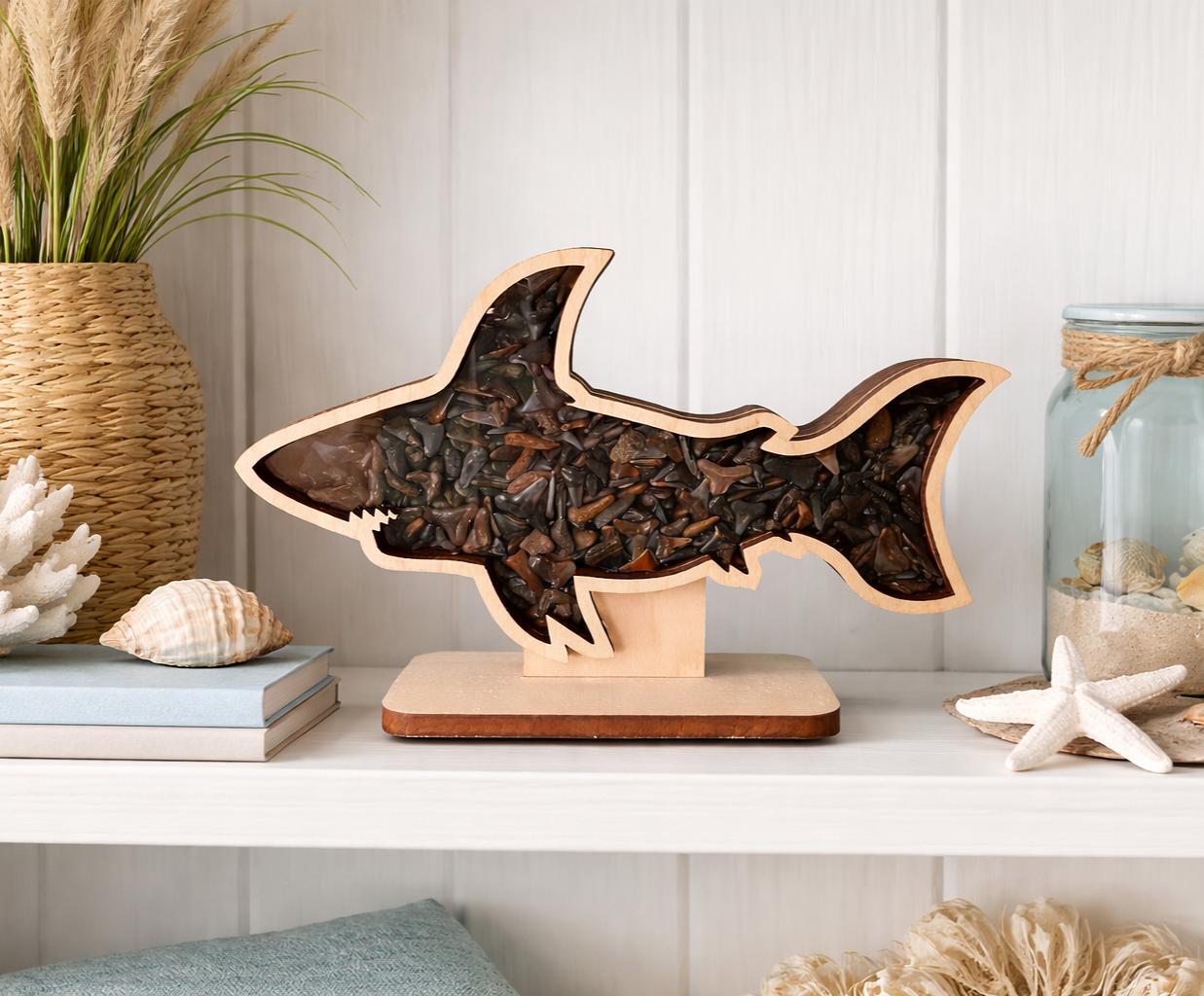 Shark Teeth Shadow Box: Shark Tooth Display - Etsy