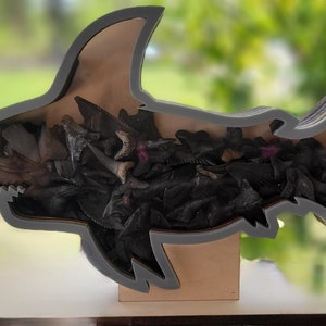 Shark teeth Shadow box for shark teeth, beach glass, agates, crystals etc. Shark tooth Display FREEEEEE SHIPPING image 8