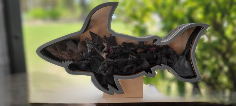 Shark teeth Shadow box for shark teeth, beach glass, agates, crystals etc. Shark tooth Display FREEEEEE SHIPPING image 8