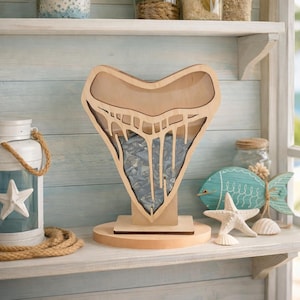 Shark tooth shadow box *Megalodon | Sea glass, shells, agates, rocks, crystals etc. 3