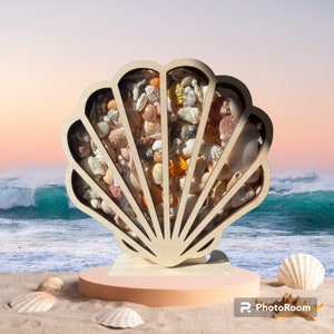 Seashell Shadow Box for shells, sea glass, shark teeth, rocks etc.