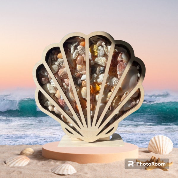 Seashell shadow box for your seashells, agates, sea glass, beach glass, shark teeth, seashell holder etc.