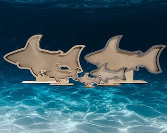 Shark teeth Shadow box for shark teeth, beach glass, agates, crystals etc. Shark tooth Display FREEEEEE SHIPPING!!!