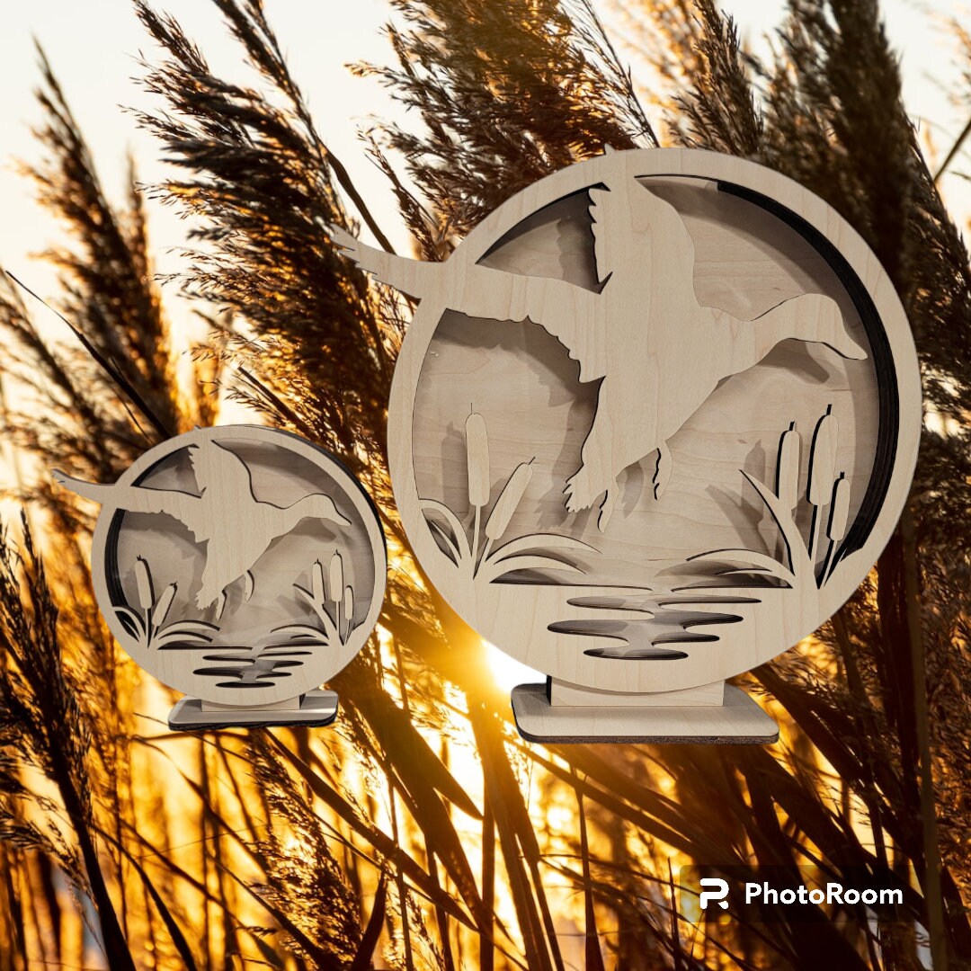 Duck Shadow Box for Your Sea Glass, Shark Teeth, Rocks, Agates Beach ...