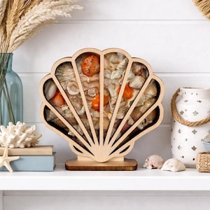 Vitrina para exhibir vidrios y conchas marinas, incluyendo vidrios de playa y conchas. imagen 9