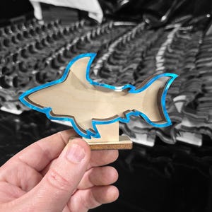 Shark teeth Display &quot;Beautifully Blue&quot; Mini shark tooth shadow box