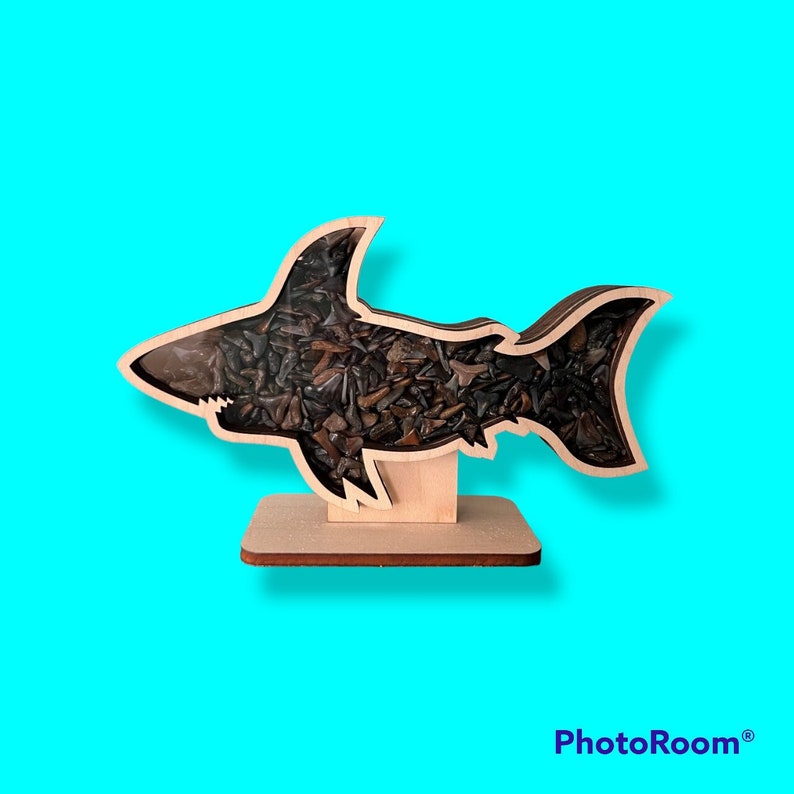 Shark teeth Shadow box for shark teeth, beach glass, agates, crystals etc. Shark tooth Display FREEEEEE SHIPPING image 3