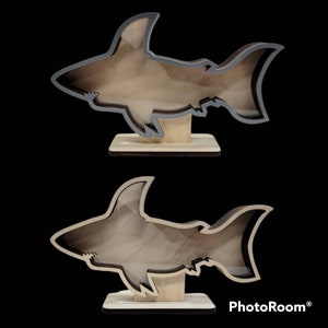 Shark teeth Shadow box for shark teeth, beach glass, agates, crystals etc. Shark tooth Display Free shipping image 7