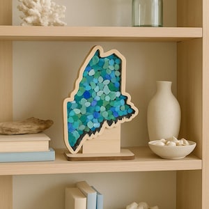 Maine State Shadow Box: Beach Finds Display | Sea glass | Rocks | Shells