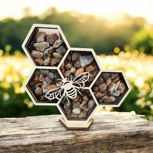 Bee Sea glass Shadow Box: Lake Superior Agates, Seashells, crystals