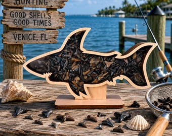 Shark Teeth Tooth Shadow Box Display | Sea Glass Beach Treasures 1