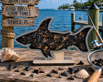 Shark Teeth Shadow Box: Shark Tooth Display 2