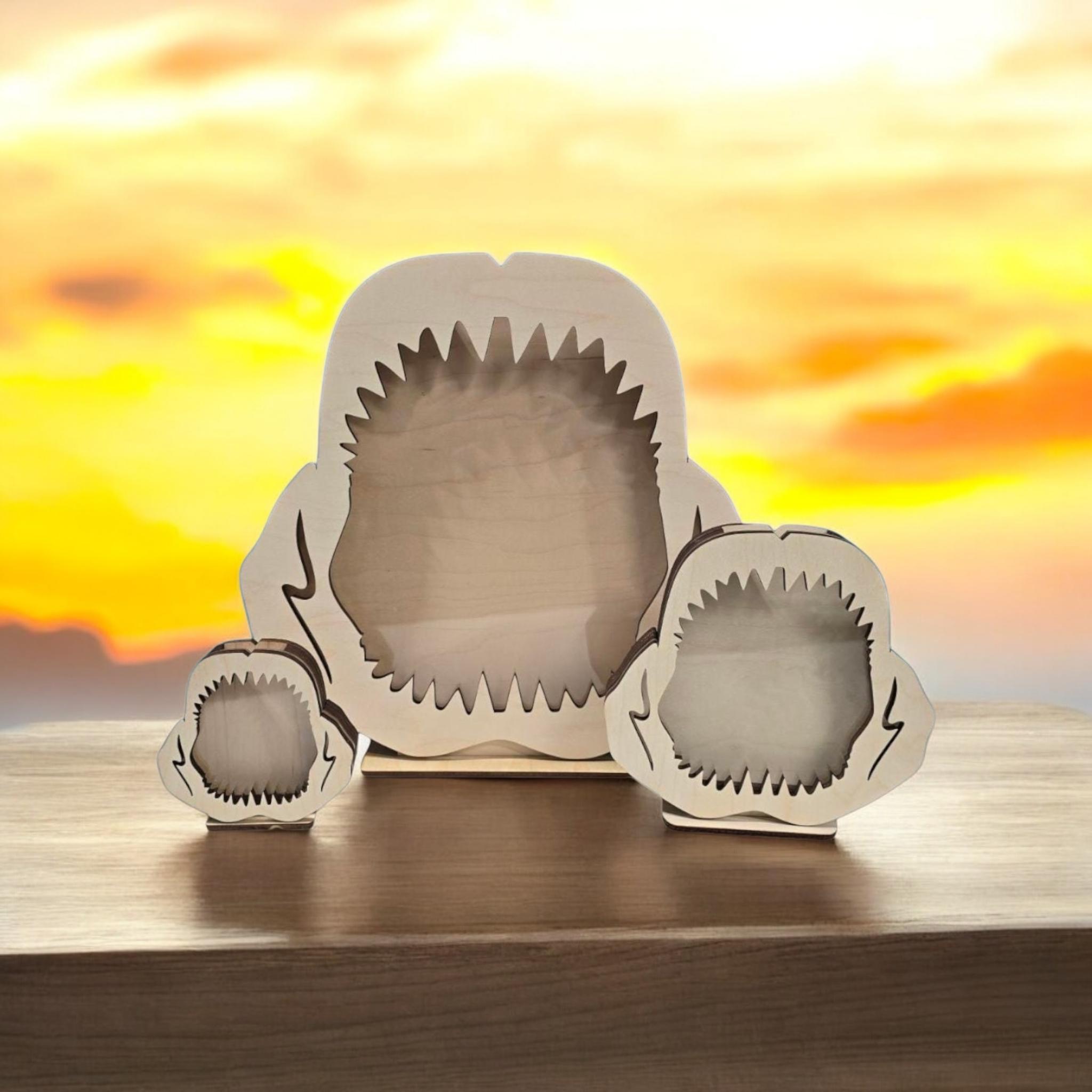 Shark Jaw Shadow Box: Shark Teeth Display - Etsy