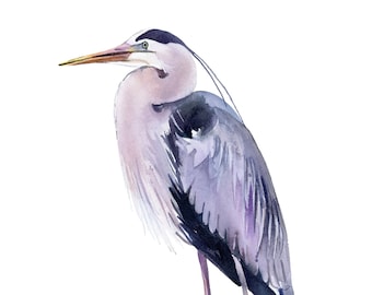 Heron Print Giclée Fine Art Print Watercolor Bird Art Heron Home Decor Coastal Art by Eugenia Ciotola