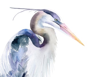 Heron Print Giclée Blue Heron Art Bird Watercolor Art Heron Wall Art Coastal Artwork by Eugenia Ciotola
