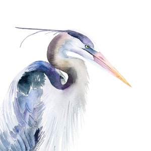 Heron Print Giclée Blue Heron Art Bird Watercolor Art Heron Wall Art Coastal Artwork by Eugenia Ciotola