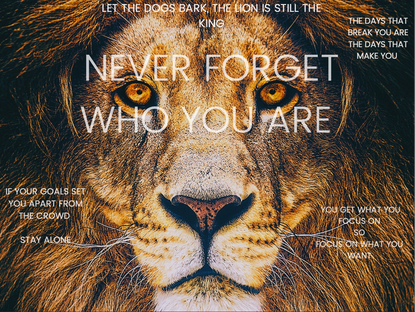 Motivational Wallpaper Lion and Success Quotes Etsy