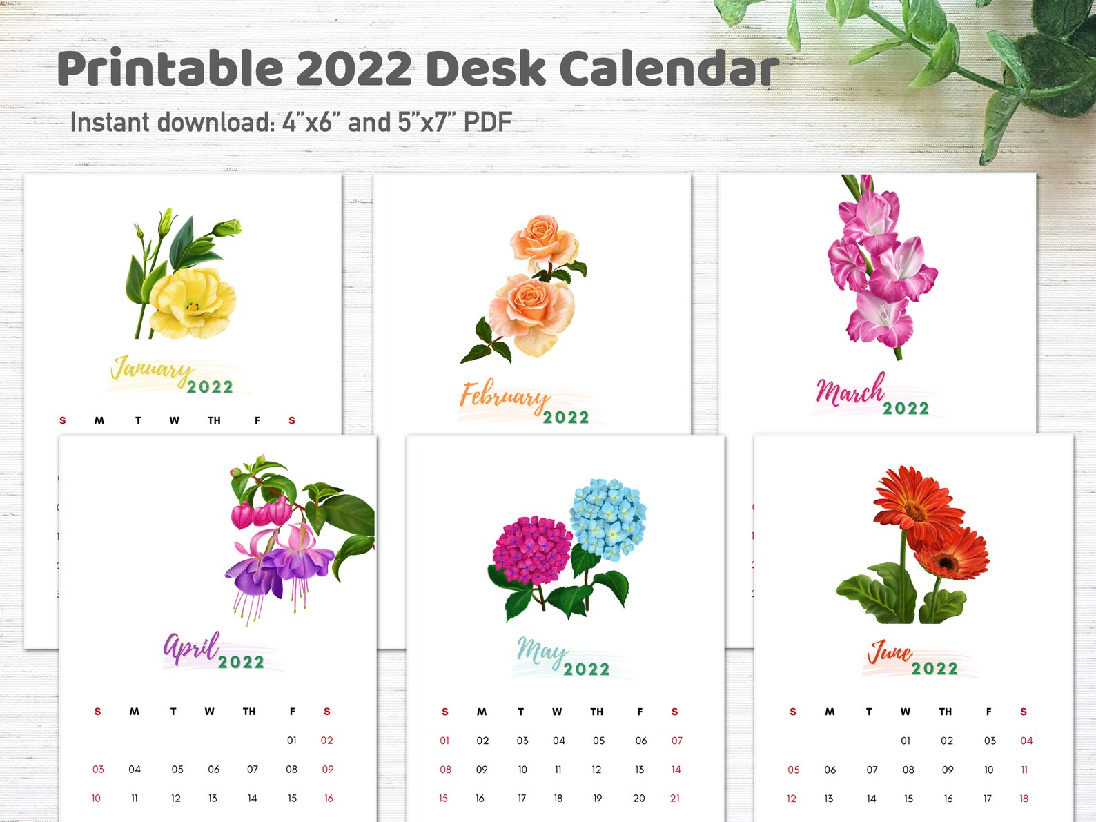 2022 Printable Floral Desk Calendar 4x5 and | Etsy