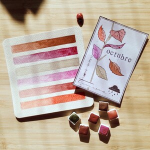 Monsters handgemaakte aquarel - OKTOBER SET - 6 verschillende kleuren x pan van 0,5 ml