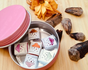May include: A pink tin with a silver interior holds six small, rectangular soaps. Each soap features a watercolor illustration of a cloud with rain, in shades of pink, orange, and green. The tin is open, with the lid resting beside it. Dried flowers and wood pieces are scattered around.