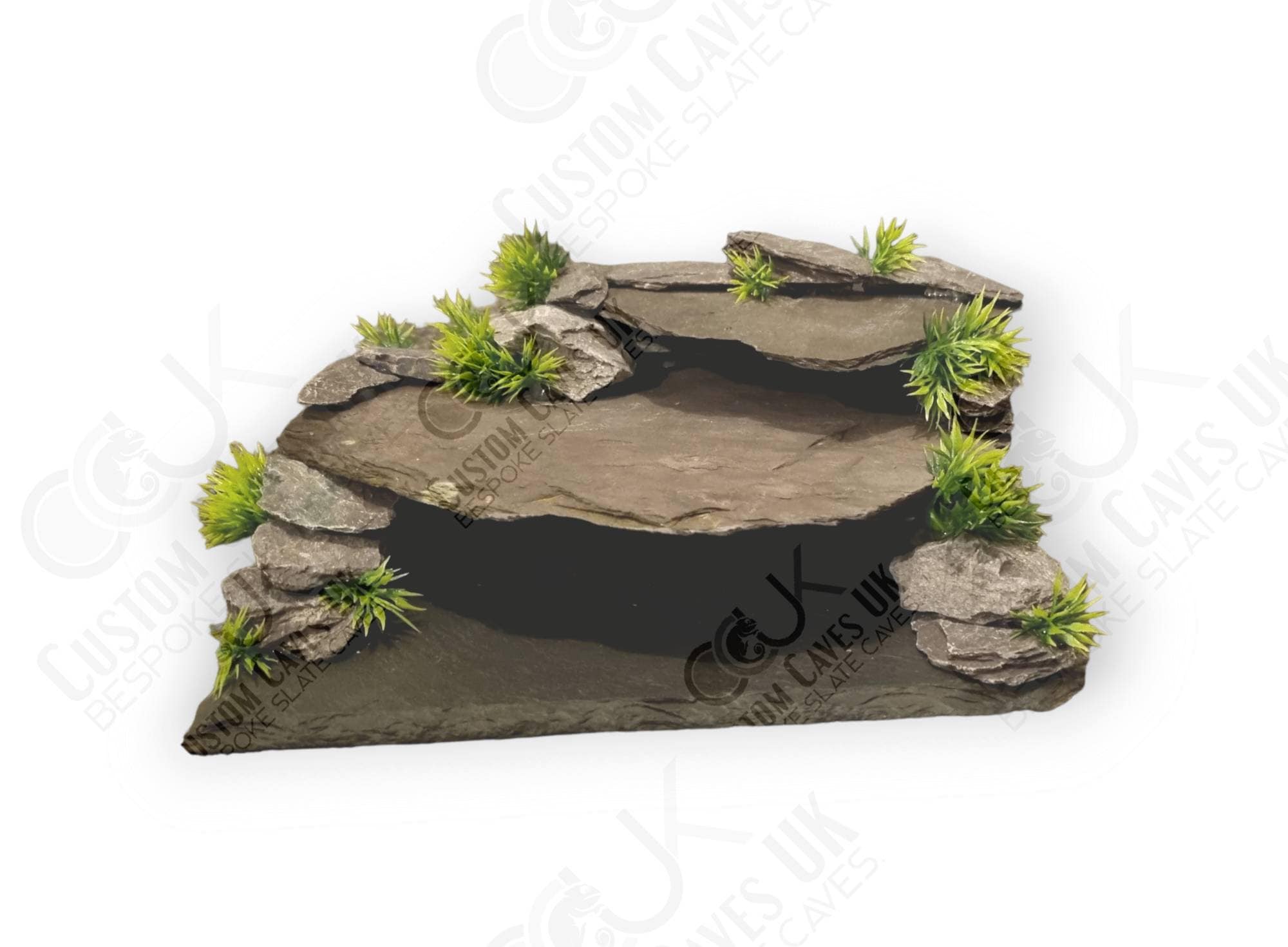 Frogs Shelter - Gecko Hide | Kleine klimschuilplaats voor gekko hagedis