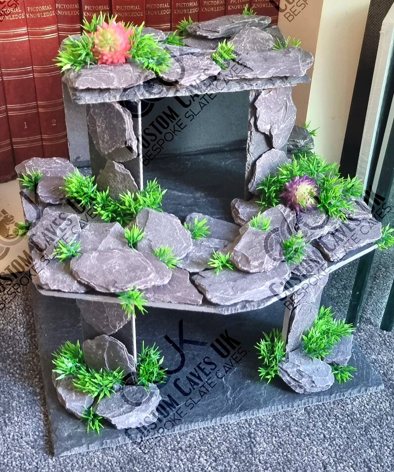 Slate Axolotl Hide Aquarium Reptiles Amphibians. Etsy UK