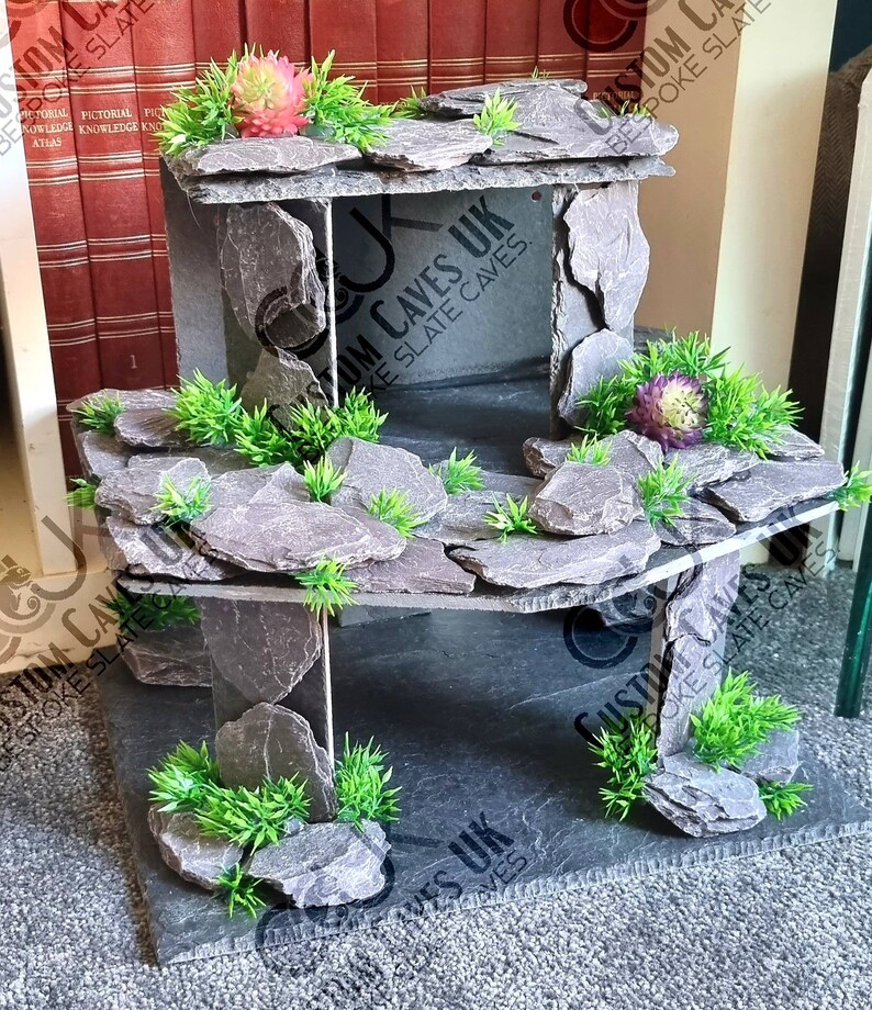 Slate Axolotl Hide Aquarium Reptiles Amphibians. Etsy UK