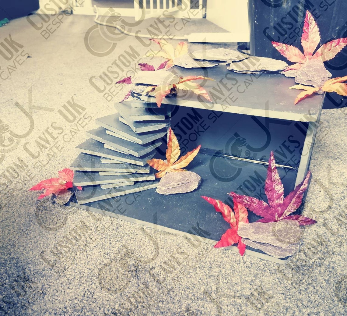 Leopard Gecko Slate Hide Pequeño Reptil Punto de Basking Etsy