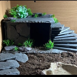 May include: A reptile habitat featuring a slate rock hide, a slate rock climbing structure, and a small water dish. The habitat is decorated with artificial plants.