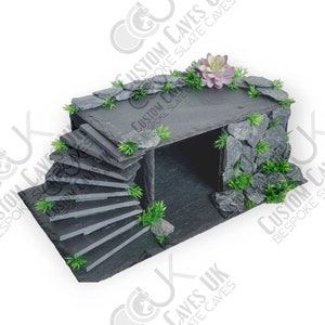 May include: A black slate cave with a spiral staircase leading up to a platform. The cave is decorated with green plants and a small succulent.