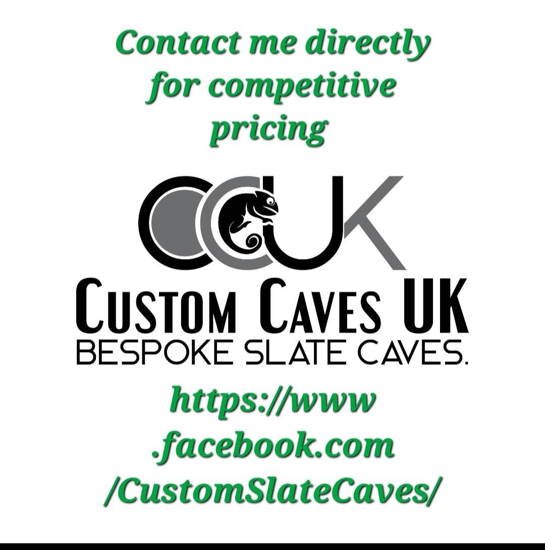 Leopard Gecko Slate Hide With Basking Platform Prefect for Etsy UK