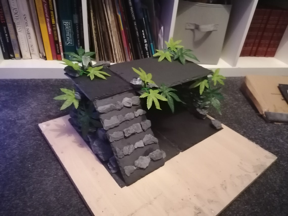 Bearded Dragon slate hide with basking spot. Etsy