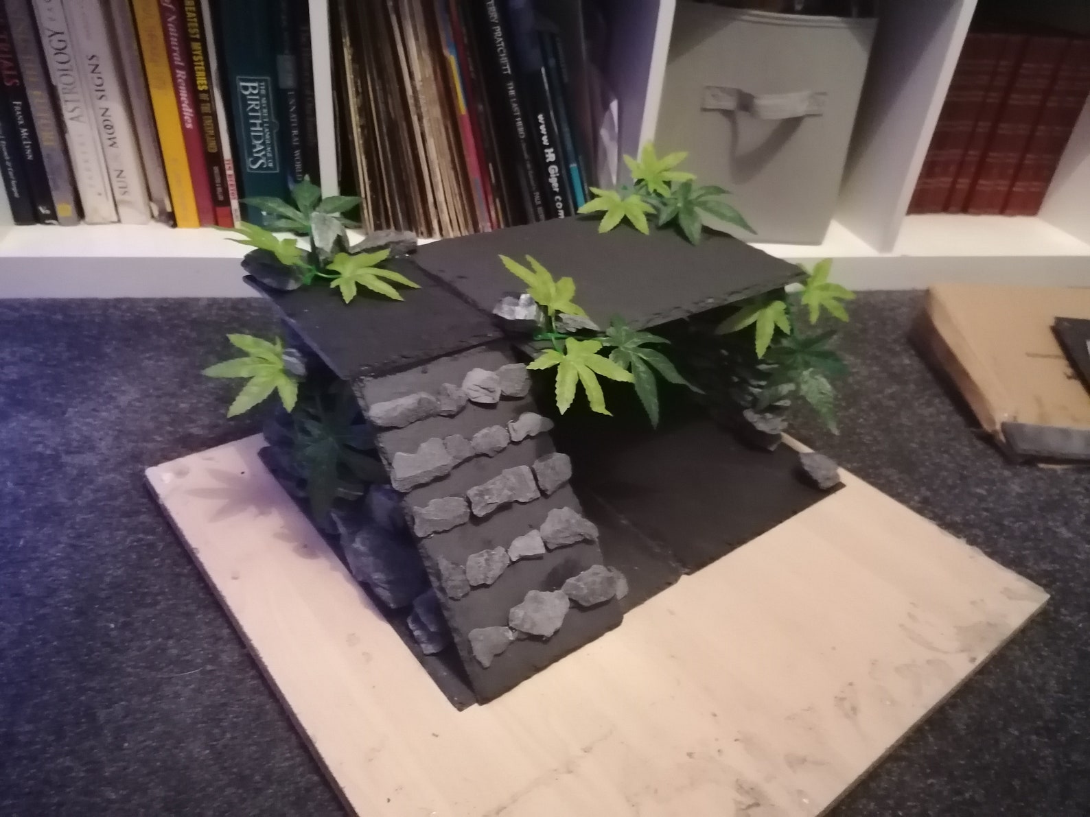 Bearded Dragon slate hide with basking spot. Etsy