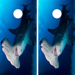 Hammerhead Shark Cornhole Wrap Art Gameboard Vinyl Skin Set Sticker PO41