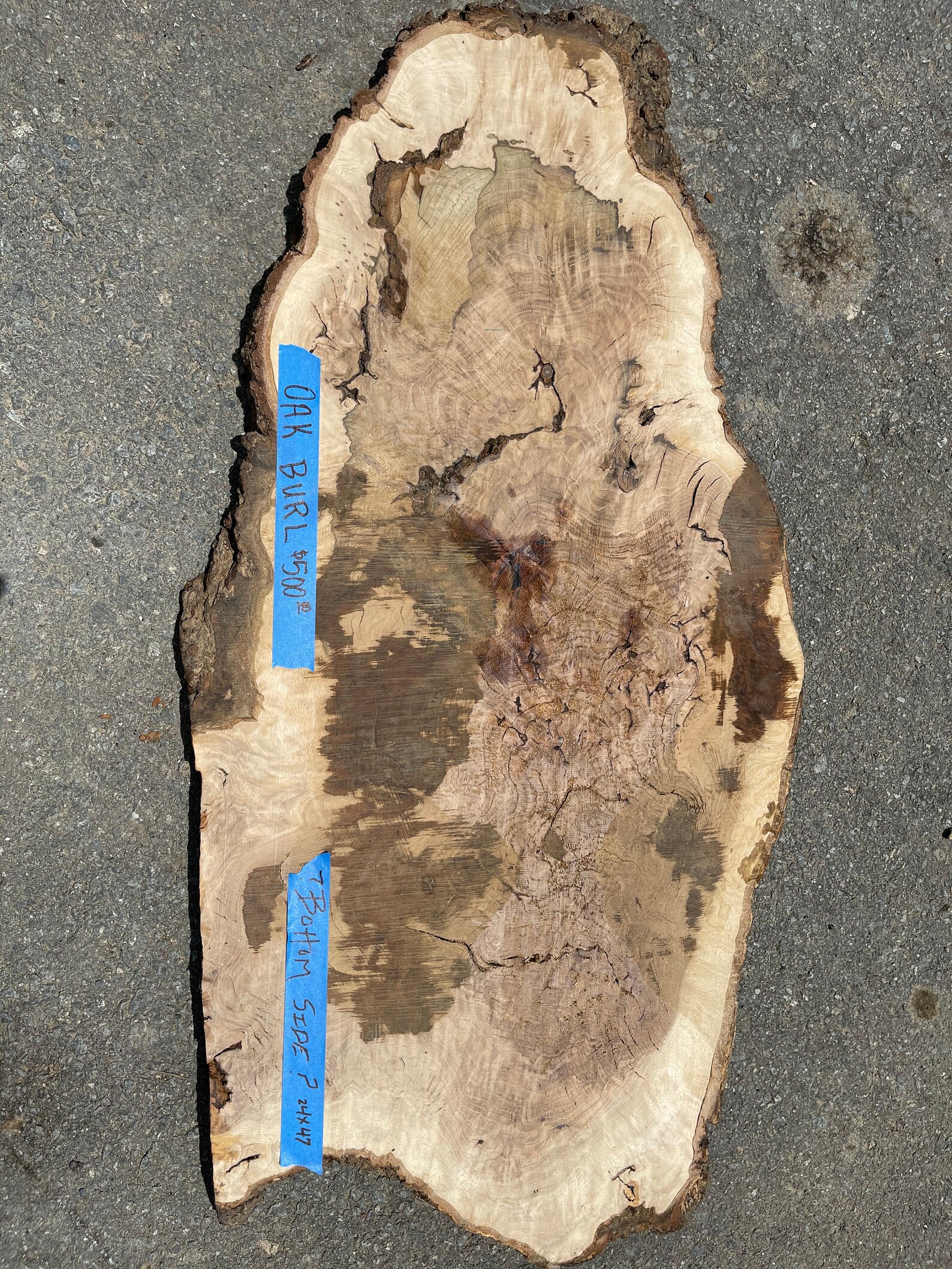 Live Edge Oak Burl 107 Etsy