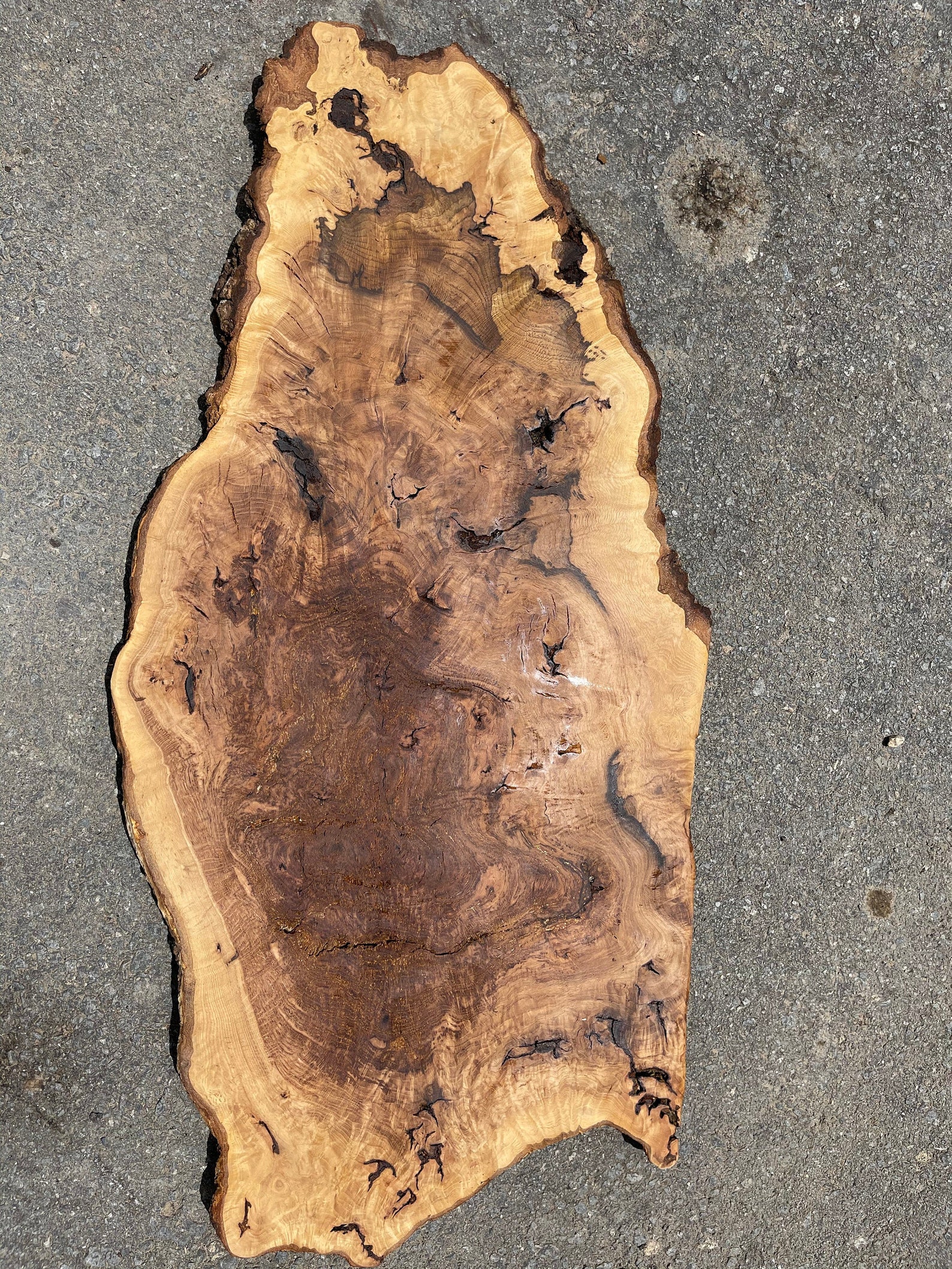 Live Edge Oak Burl 107 Etsy