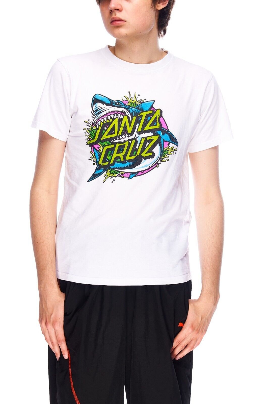 ヴィンテージ サンタクルーズ Tシャツ ホワイト コットン メンズ 半袖