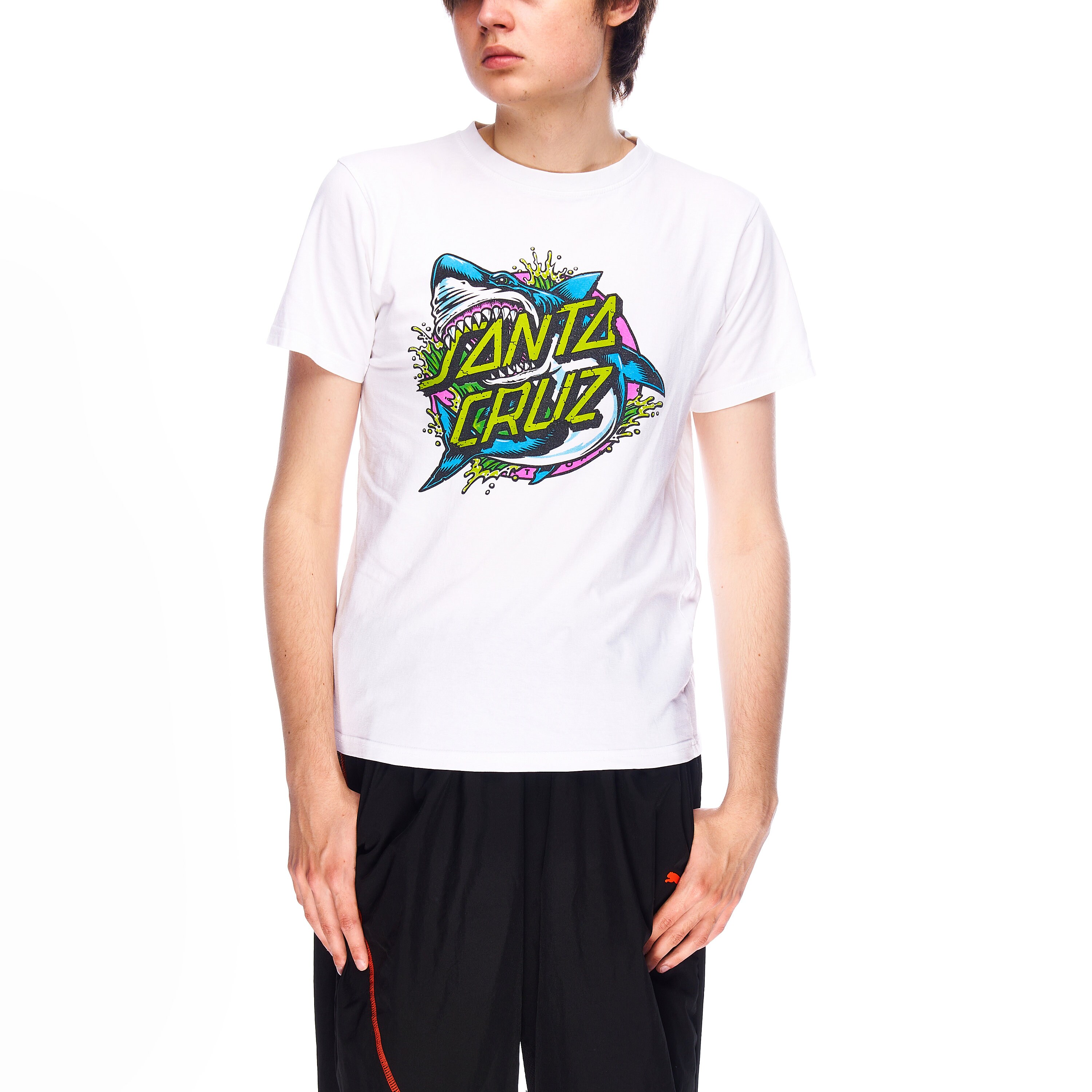 ヴィンテージ サンタクルーズ Tシャツ ホワイト コットン メンズ 半袖