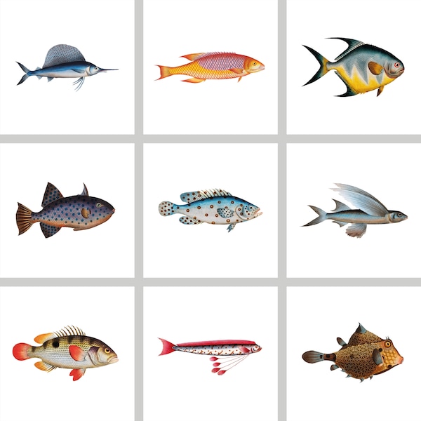 Tiles stickers tropical fish, 9 stickers per set, for bathroom tiles, 10x10cm, 15x15cm, 20x20cm etc.