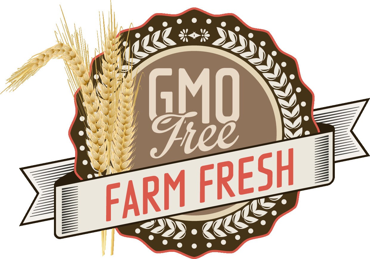 Fliesenaufkleber Obst und Gemüse 16 Stück Küche | Etsy