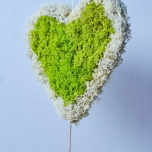 Heart shaped moss decoration/Scandinavian preserved moss