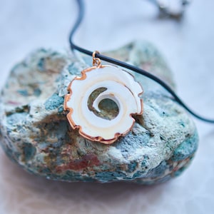 Sea necklace Beach jewelry Seashell necklace