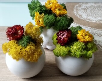 Ceramic pot with Reindeer moss and dried flowers