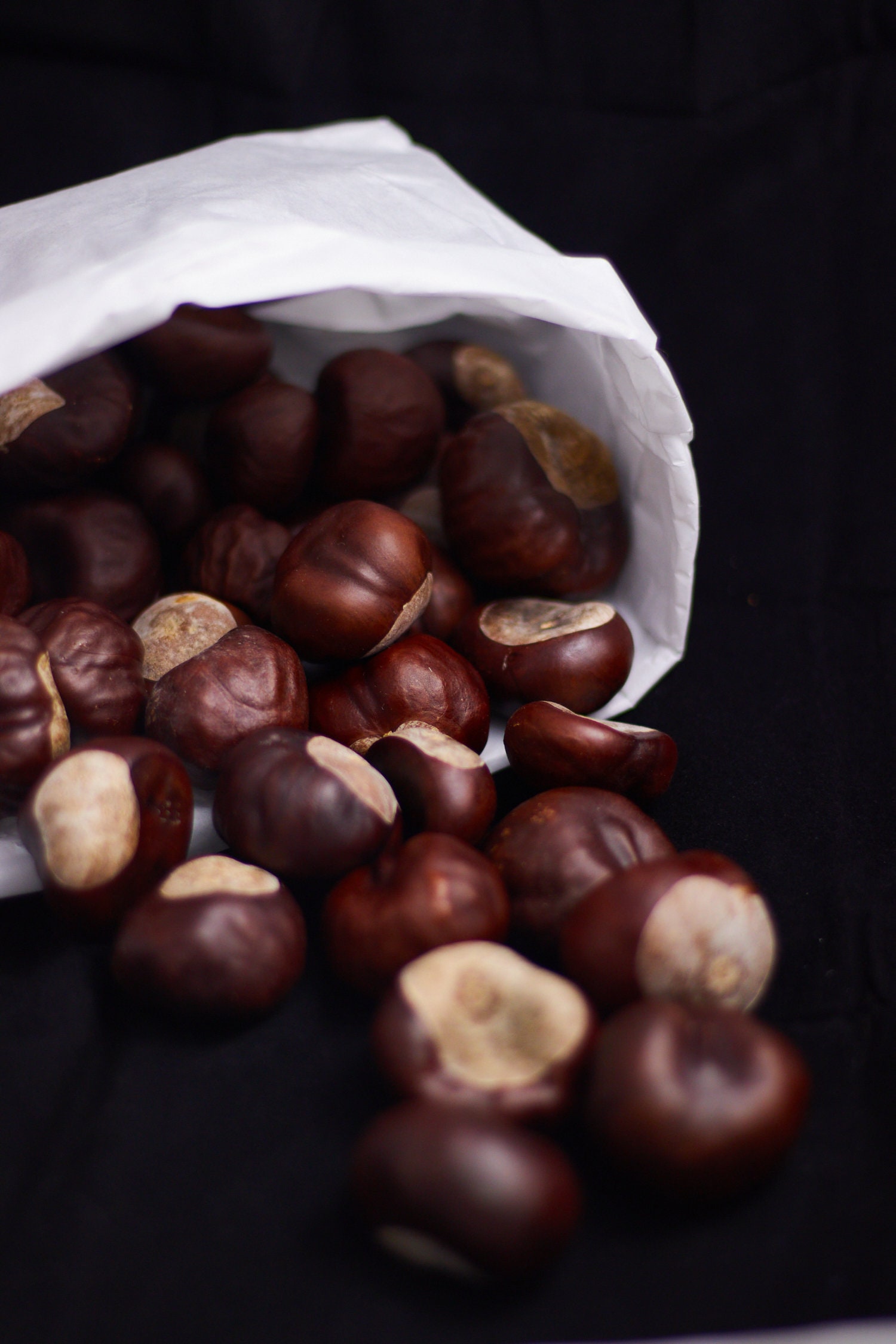 Horse Chestnuts, Real Dried Chestnuts, Set of 35 Chestnuts Etsy