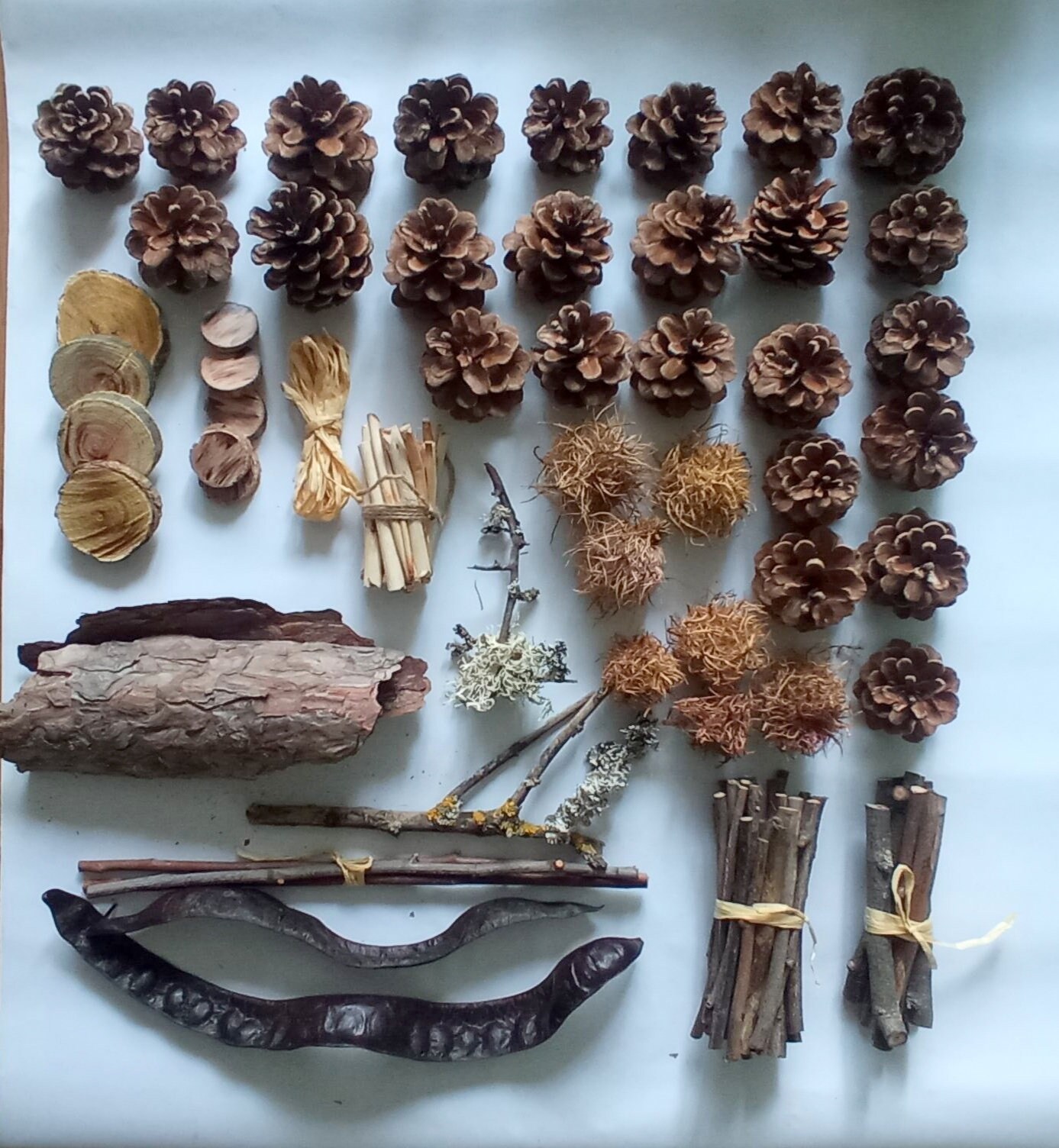 Creativity Set- 55 Ps / Natural Products - Etsy