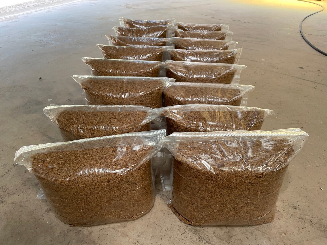 Mushroom Spawn Bags large Etsy UK