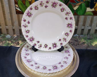 Royal Albert Dinner Plates - Sweet Violet Floral Set of 4